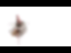 10mm Mini Permanent Magnet Stepper Motor 5v 2 Phase 18 Degree