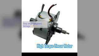 Compact Linear Motor High Torque Valve Automation
